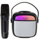Adler wireless speaker, with microphone, for karaoke, Bluetooth, AD 1199 B