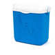 Curver 20L Portable Refrigerator Tourist Fridge Camping Food Storage + 2 Ice Pack 2 x 400g Handle