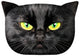 Bertoni Cat Nero decorative pillow 30x45 cm, velour, cat print, anti-allergenic insert