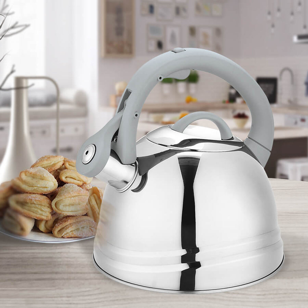MAESTRO MR-1304 2.5L Classic Stove Kettle with Whistle for Induction Electric Gas Stove Plate Silver