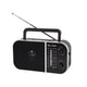 Blow Portable analog AM/FM radio RA6 battery and mains power