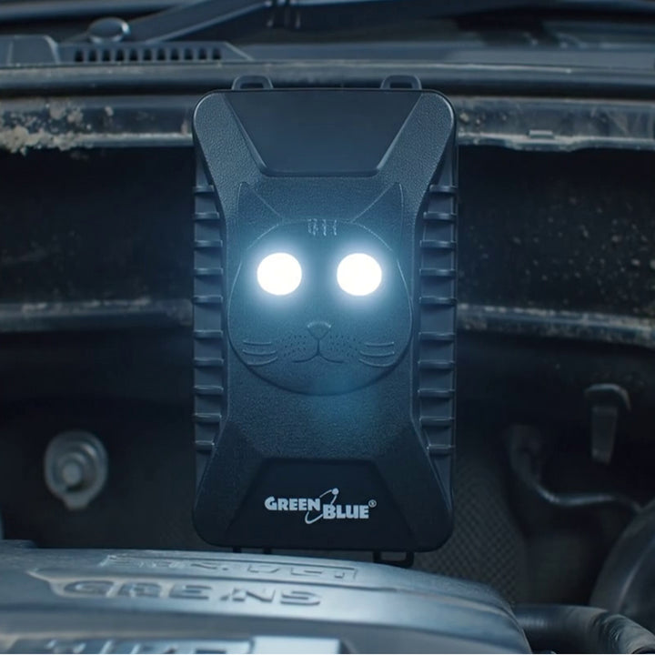 GreenBlue GB725 Car &amp; Home Rodent Pest Repeller Deterrent Marten Mice Rats Ultrasonic LED Diodes Flashing Super Effective