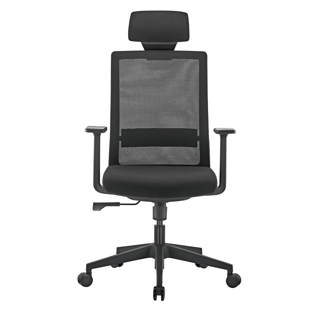 Ergo Office premium ergonomic high back office chair, max 150kg, ER-425