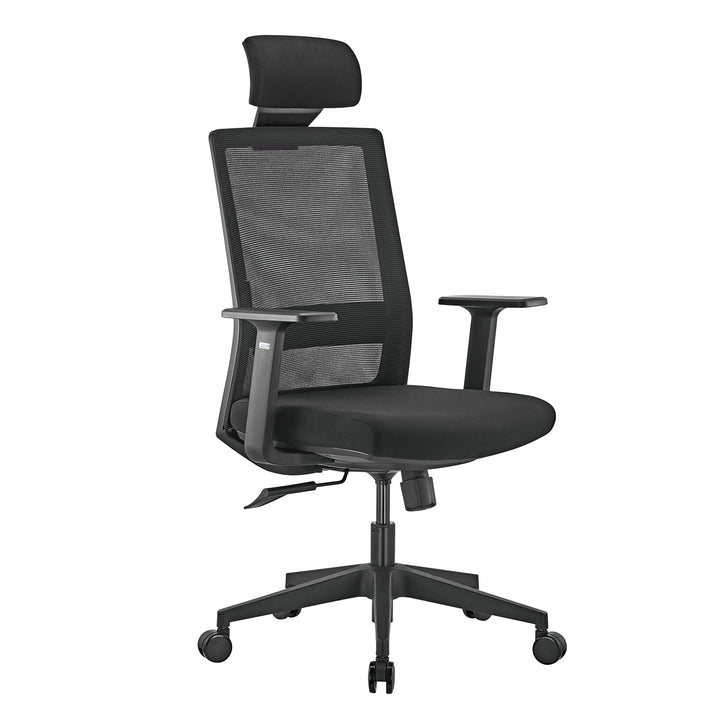 Ergo Office premium ergonomic high back office chair, max 150kg, ER-425