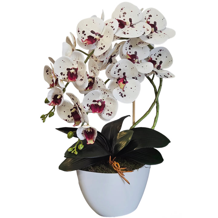 Damich Artificial Orchid Flowers, Realistic Rubber, 2-Pack