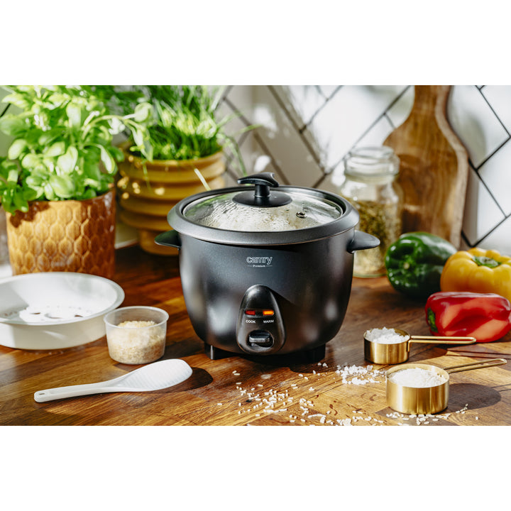 Camry rice cooker, capacity 1.0 L, power 400W, CR 6419