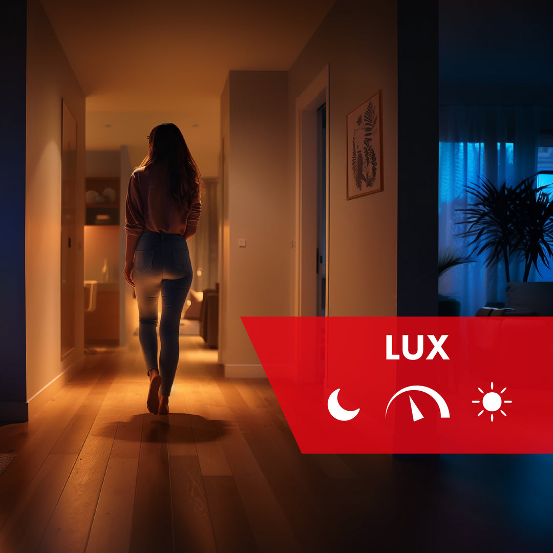 Maclean twilight sensor, with external probe, 12-24V DC MCE34 V