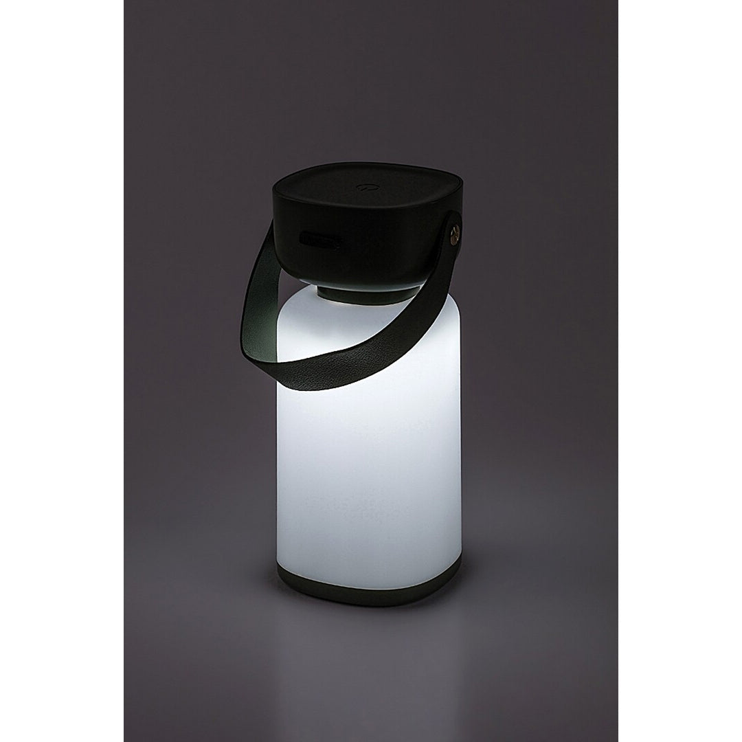 Rabalux decorative lamp, outdoor, IP44, 3W, green, Funes