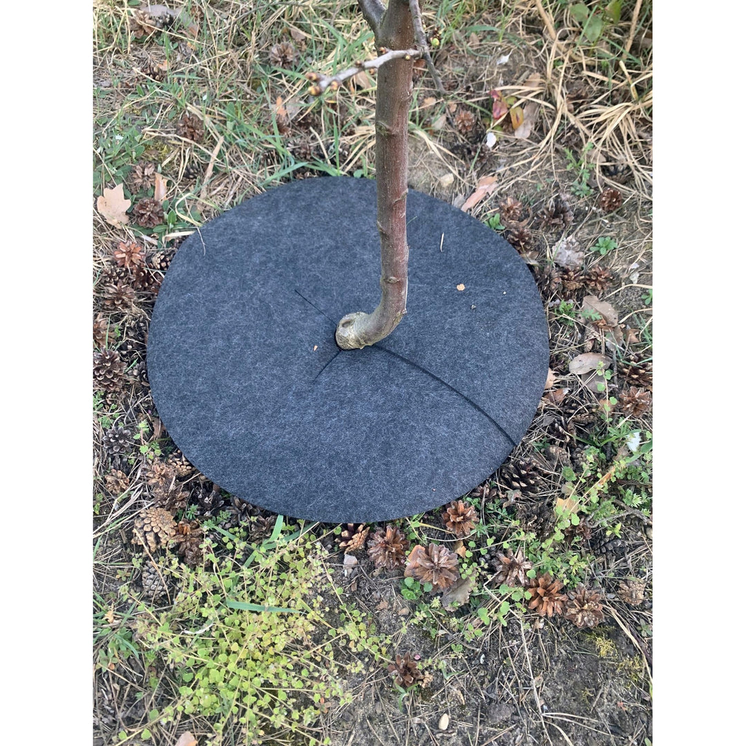 Bertoni anti-weed disc set to use in the garden, 3 pieces, 40 cm, gray