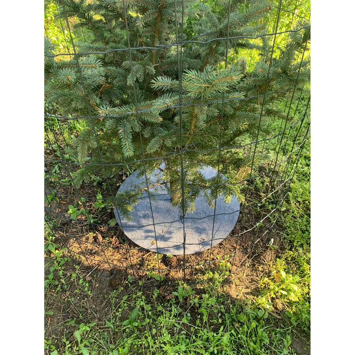 Bertoni anti-weed disc set to use in the garden, 3 pieces, 40 cm, gray