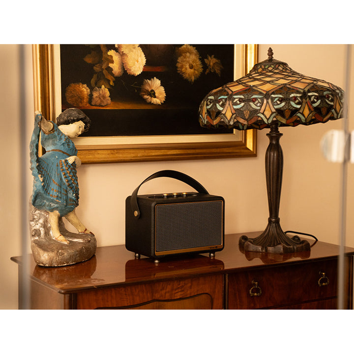 Tracer portable speaker, Bluetooth, FM radio, 30W, black, M30