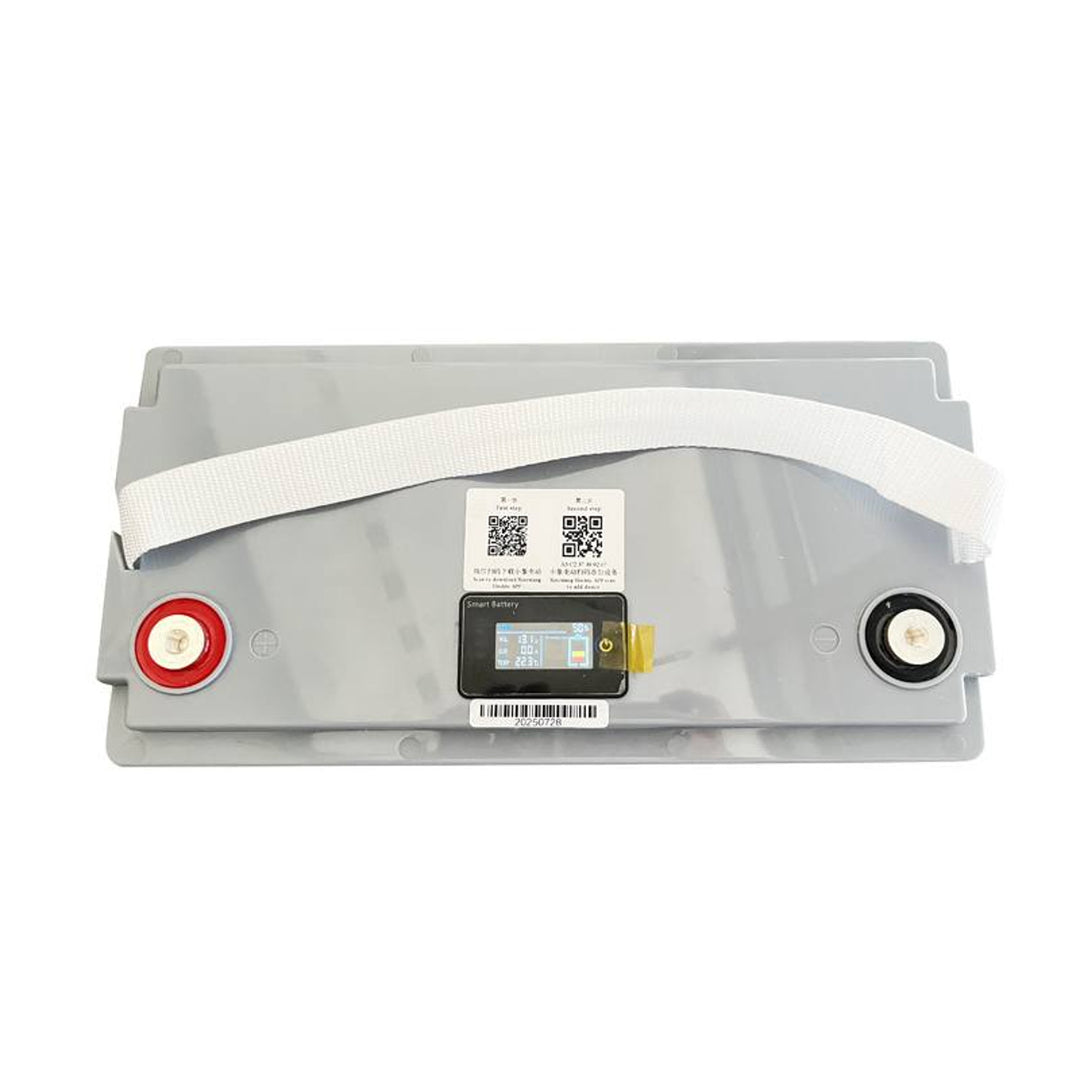 Ceallraí litiam-iarann-fosfáit LiFePo4 Lexton, le BMS, 12.8V, 100Ah, LXLFP100