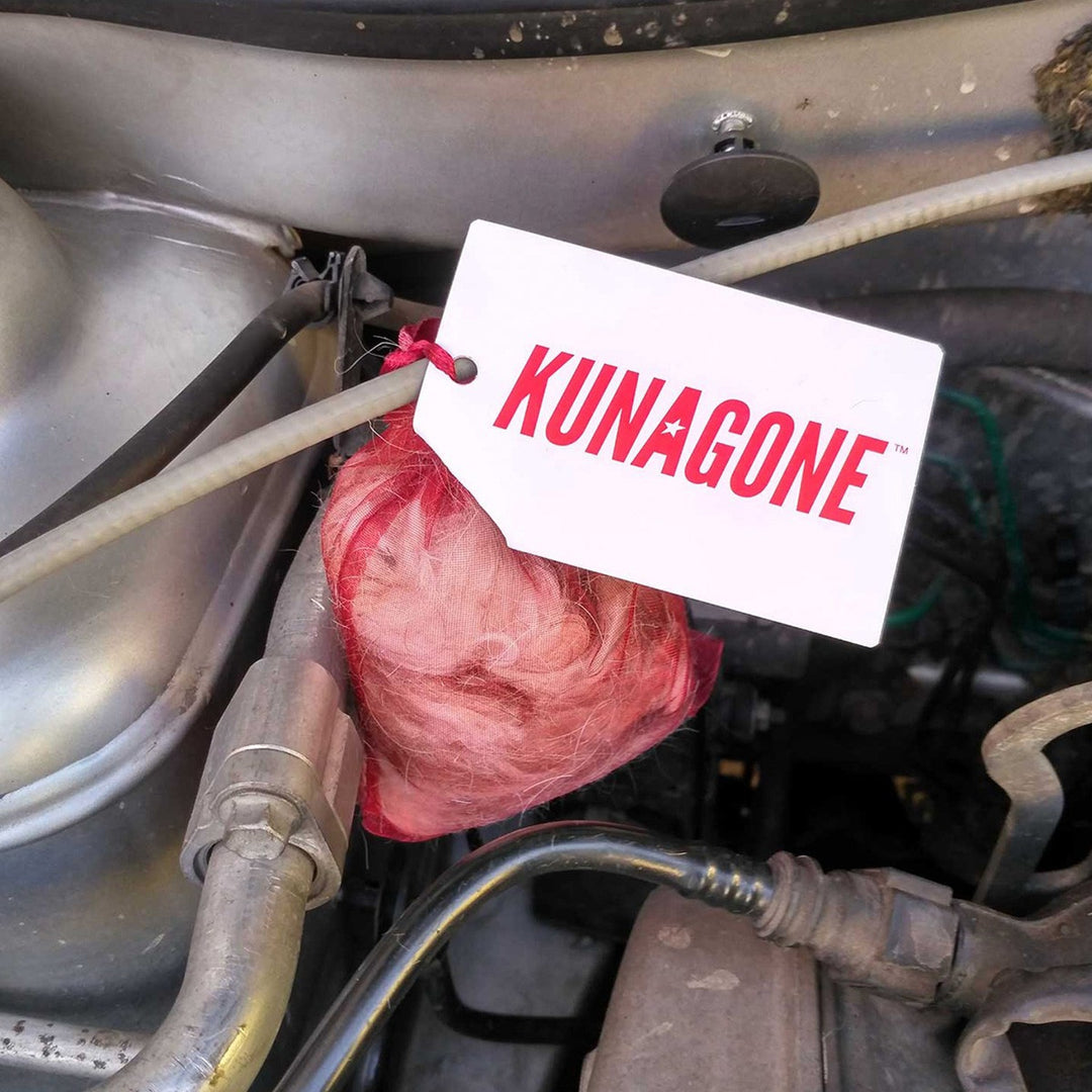 Díthocsaineach cait Kunagone, nádúrtha, do charr, teach, áiléar, 1 phíosa