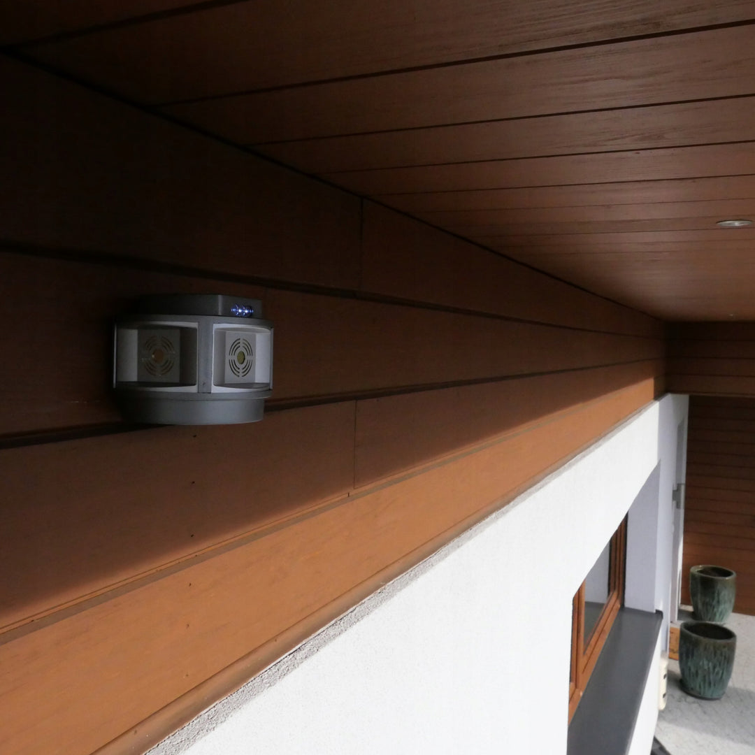 Lucha martán gan sreang a chosc ó chreimirí Viano, IP44, ceallraí litiam-ian 4Ah, mód LED, Trio