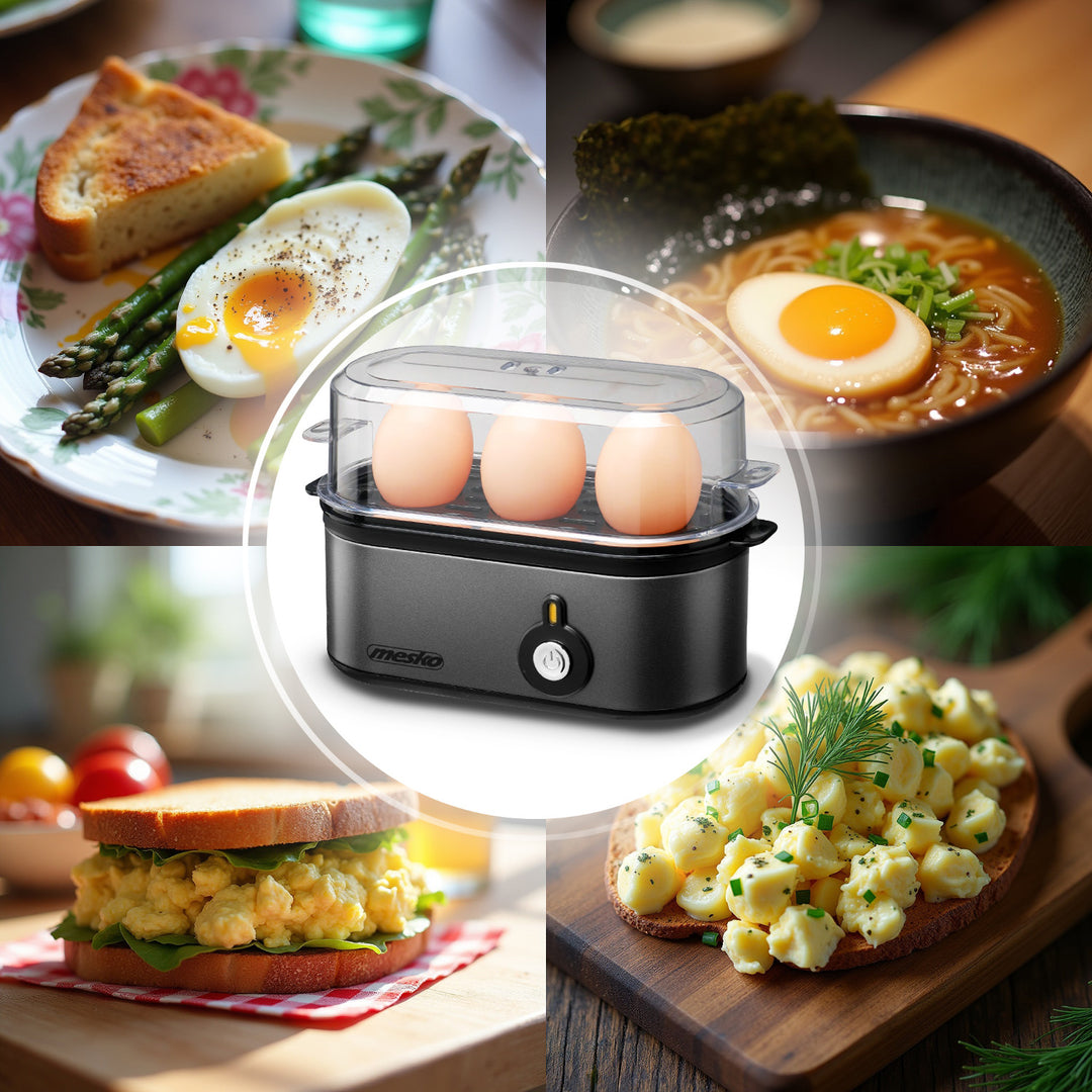 Cócaire uibheacha Mesko 3, cumhacht 210W, céim chócaireachta inroghnaithe, solas táscaire, MS 4485