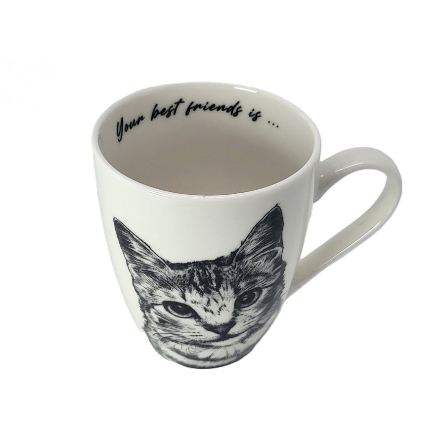 Queen Isabel porcelain mug, American Shorthair cat, 350ml, Q1-05195