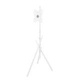 Maclean TV Floor Stand/Mount, 27–55", max. VESA 200x200, max. 60 kg, MC-181 W