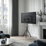 Maclean TV Floor Stand/Mount, 37–80", max. VESA 600x400, max. 60 kg, MC-182 B