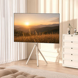 Maclean TV Floor Stand/Mount, 37–80", max. VESA 600x400, max. 60 kg, MC-182 W