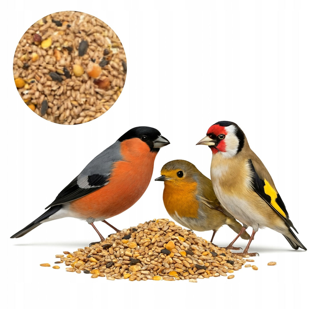Woodok bird feeder, spruce wood, fired, strong hooks + bird seed 1kg.