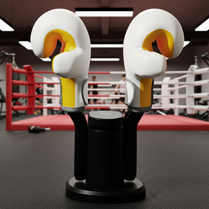 Shoe dryer with ozone disinfection, Media-tech MT6539