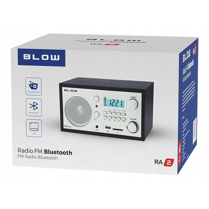 Blow portable analog radio, Bluetooth function, USB, AUX, and SD connectors, AM/FM radio reception, LCD display, clock and alarm, 77-531#