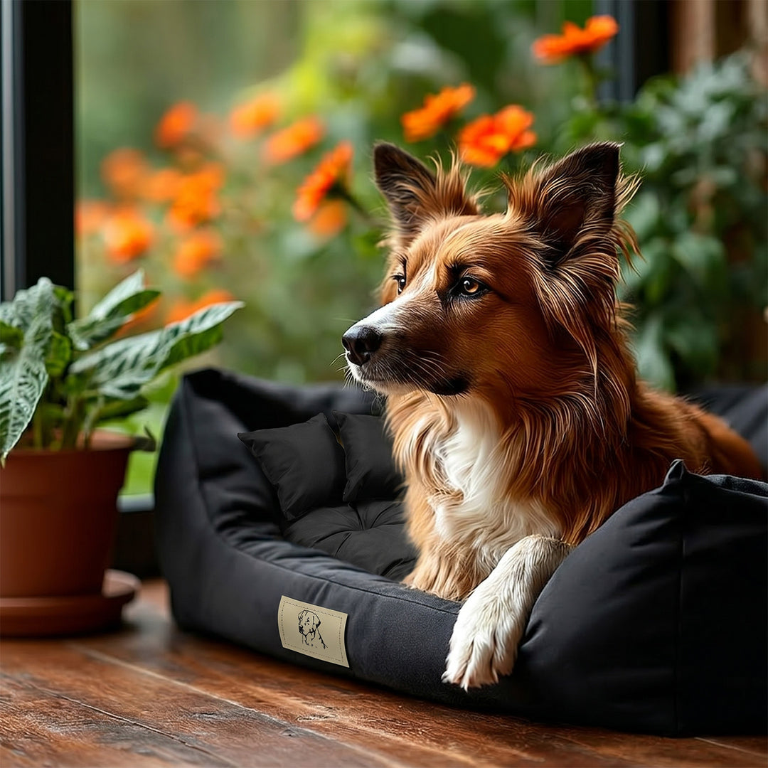 GreenBlue Pet Bed, Black, Rectangular, External Dimensions: 115x95 cm, Internal Dimensions: 100x80 cm GB240 BL
