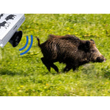 Repeller for forest animals, wild boars, foxes, and roe deer, Viano OZ1