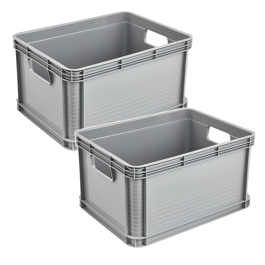 Robert Keeeper Carrying Container, 20L capacity, gray, food-safe, lightweight and durable, load capacity up to 30 kg, 2 pieces