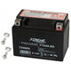 Xtreme Maintenance-Free Gel Motorcycle Battery, 12V, 4Ah, Right-Hand, 82-330#