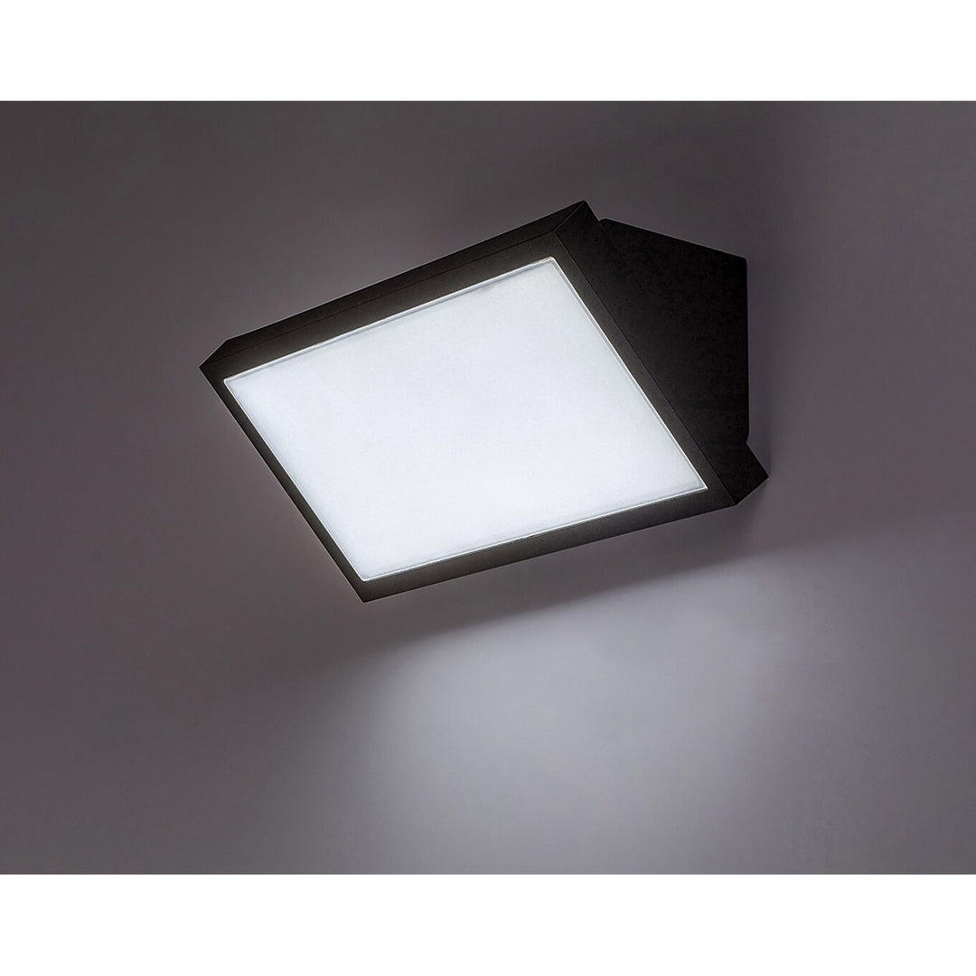 Rabalux Rapla2 LED 18W Light, Black, IP65, Energy Class F, Color Temperature Adjustment: 2700, 4000, 6500 K, 77150