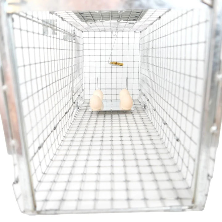 Live trap for martens, rats, mice, minks, and weasels, Viano P2