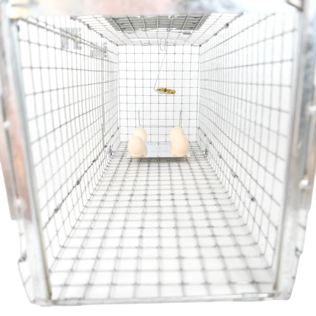 Live trap for martens, rats, mice, minks, and weasels, Viano P2, 2 pieces