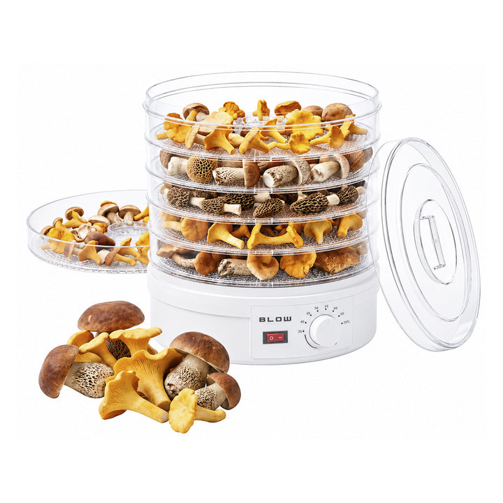 Blow Mushroom, Vegetable, and Fruit Dehydrator, 500W, 6 trays included, temperature control 35–75°C, 44–175