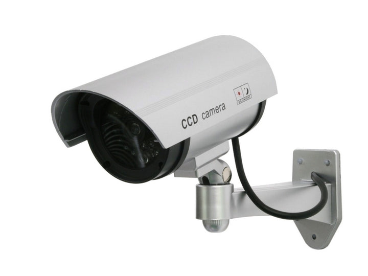 Dummy horn camera, IR LEDs, silver, IR1100S