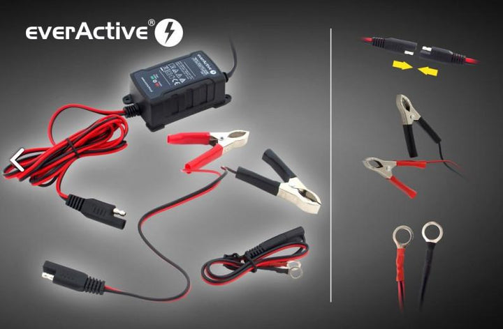 Luchtaire Ceallraí Gluaisteáin Chliste EverActive CBC-1 6V / 12V Glóthach AGM Luaidhe-Aigéad Uathoibríoch do Cheallraí In-athluchtaithe