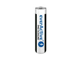 Alkalic batteries everActive LR03 AAA Set of 10 batteries