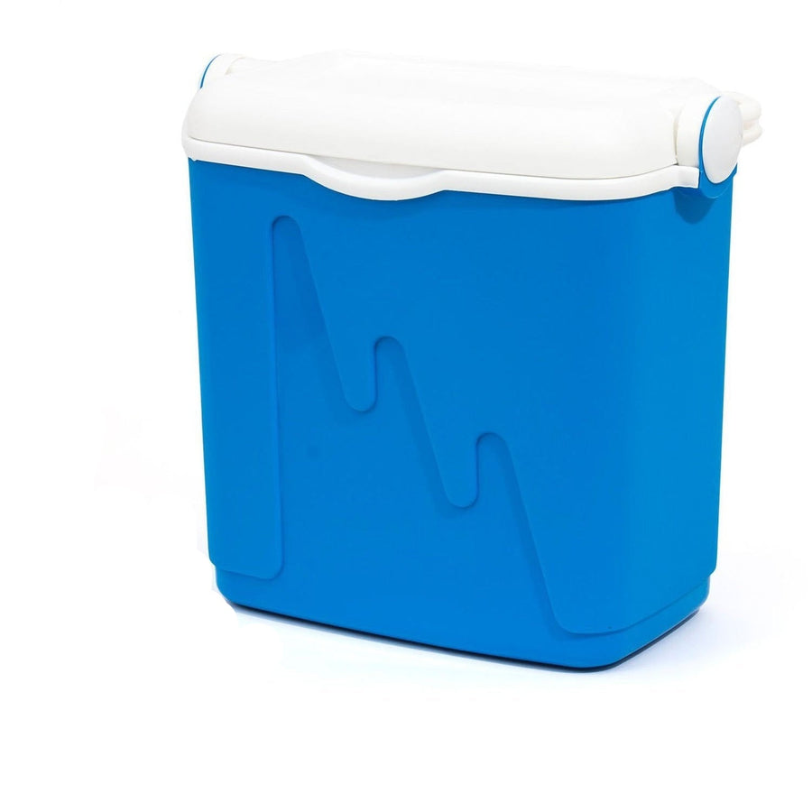 Curver 20L Portable Refrigerator Tourist Fridge Camping Food Storage + 2 Ice Pack 2 x 400g Handle
