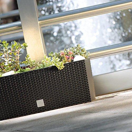 Prosperplast DRTC500-440U Flowerpot with Insert 17L Umbra
