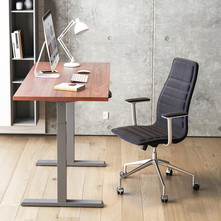 Sit Stand Frame Desk Electric Height Adjustable 80kg Office Without Tabletop