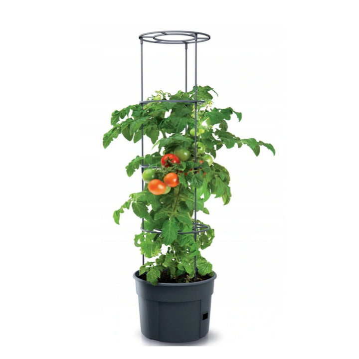 Pot for tomato plant 12L Tomato Grower IPOM300-S433