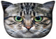Pillow Cat Decorative Zipper Anti Allergic Filling Washable