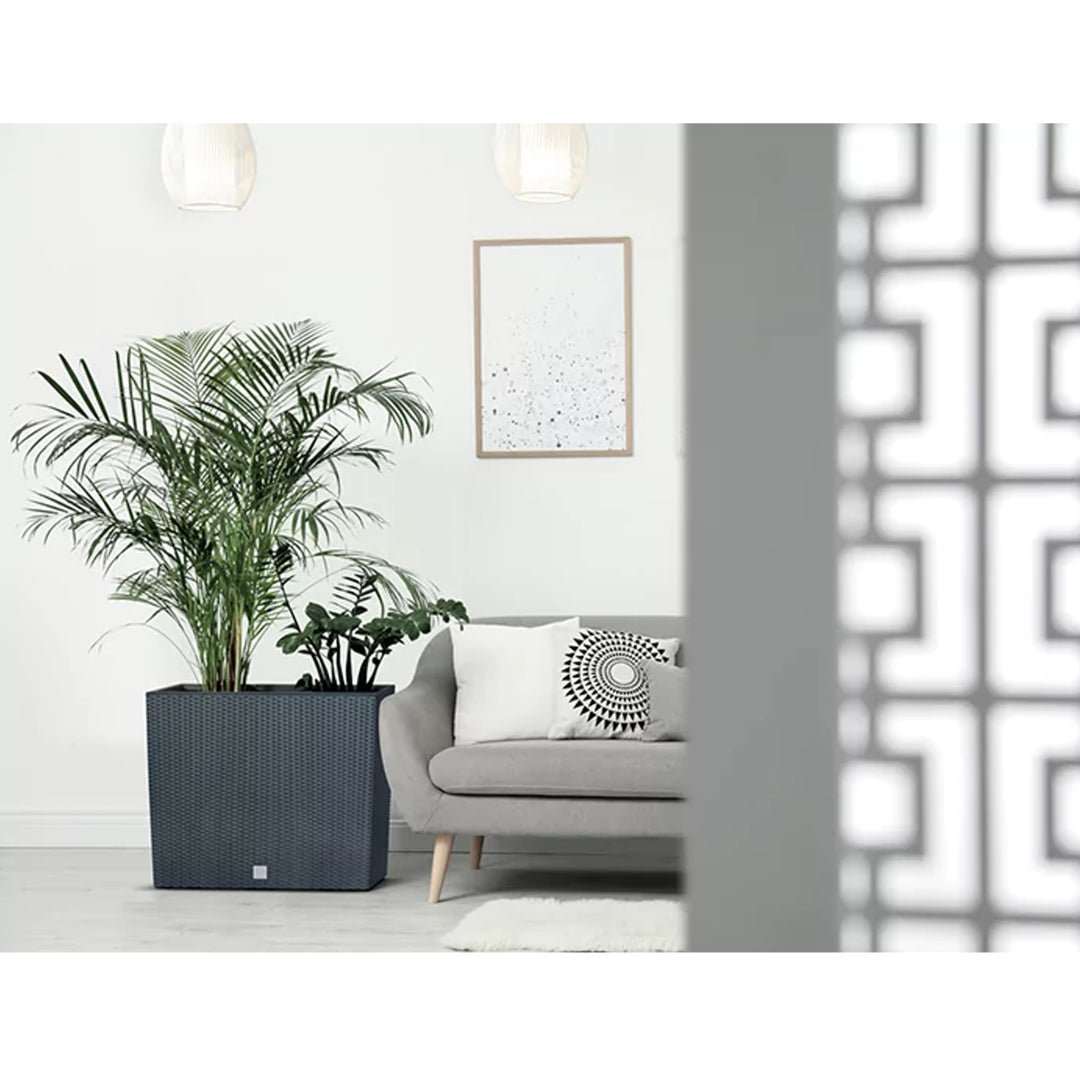 Tall Trough Planter Flower Pot Rattan Design Prosperplast Rato Case Grey Anthracite