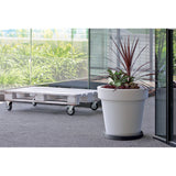 Prosperplast Mobile Saucer Round Base IPRR370-S433 - anthracite color