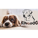 KingDog Dog and Cat Bed with Two Cushions Dog Basket Pet Bed Washable Waterproof PVC Material Size M