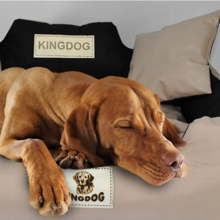 KingDog Dog and Cat Bed with Two Cushions Dog Basket Pet Bed Washable Waterproof PVC Material Size M