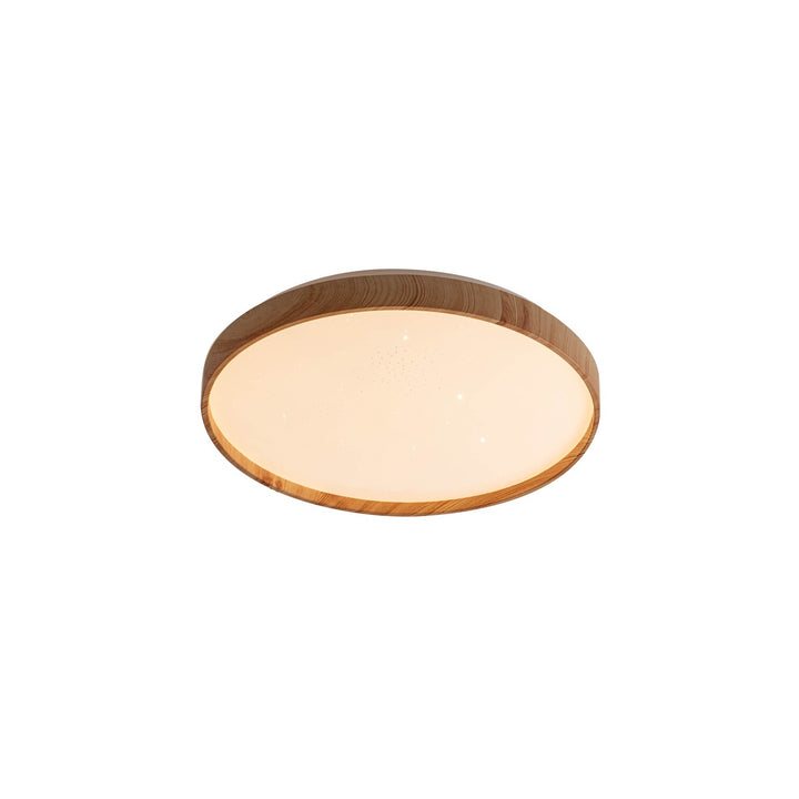 Ceiling Lamp LED Round Light 24W Scandinavian Warm White IP20