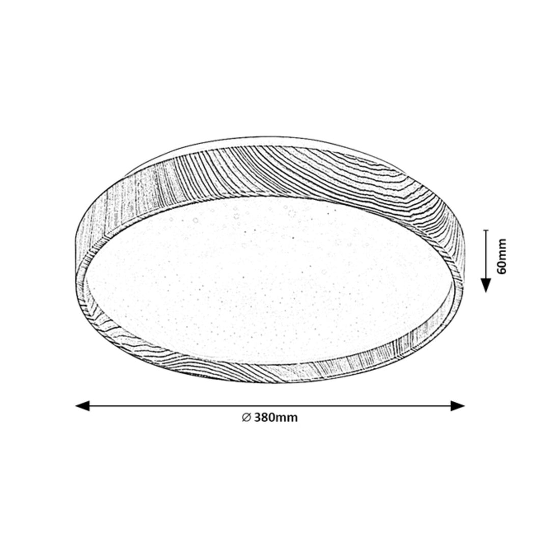 Ceiling Lamp LED Round Light 24W Scandinavian Warm White IP20