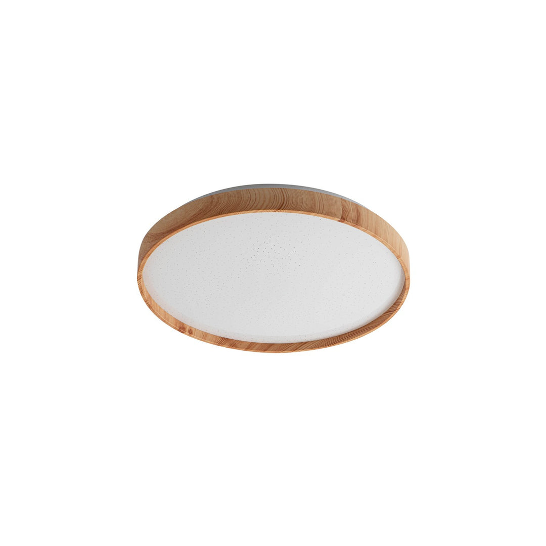 Ceiling Lamp LED Round Light 24W Scandinavian Warm White IP20