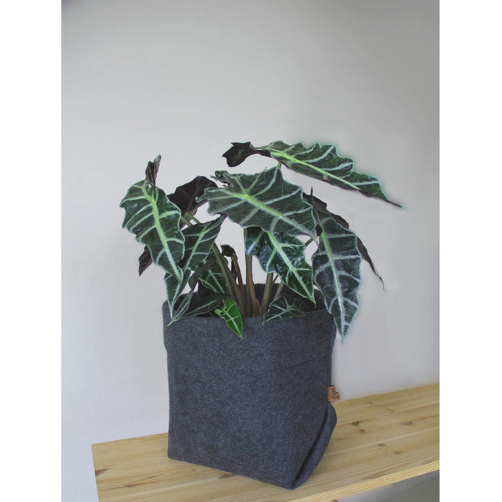 Flower Pot Cover Felt Size XL 25cm Graphite Lightweight